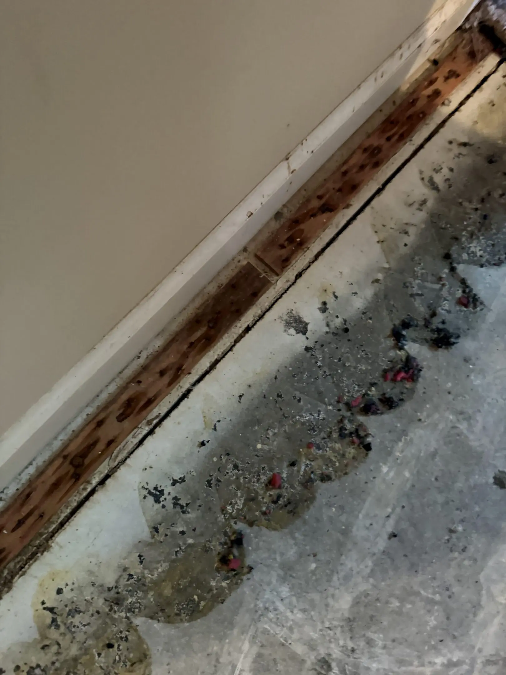 Damaged wall and floor with mold spots.